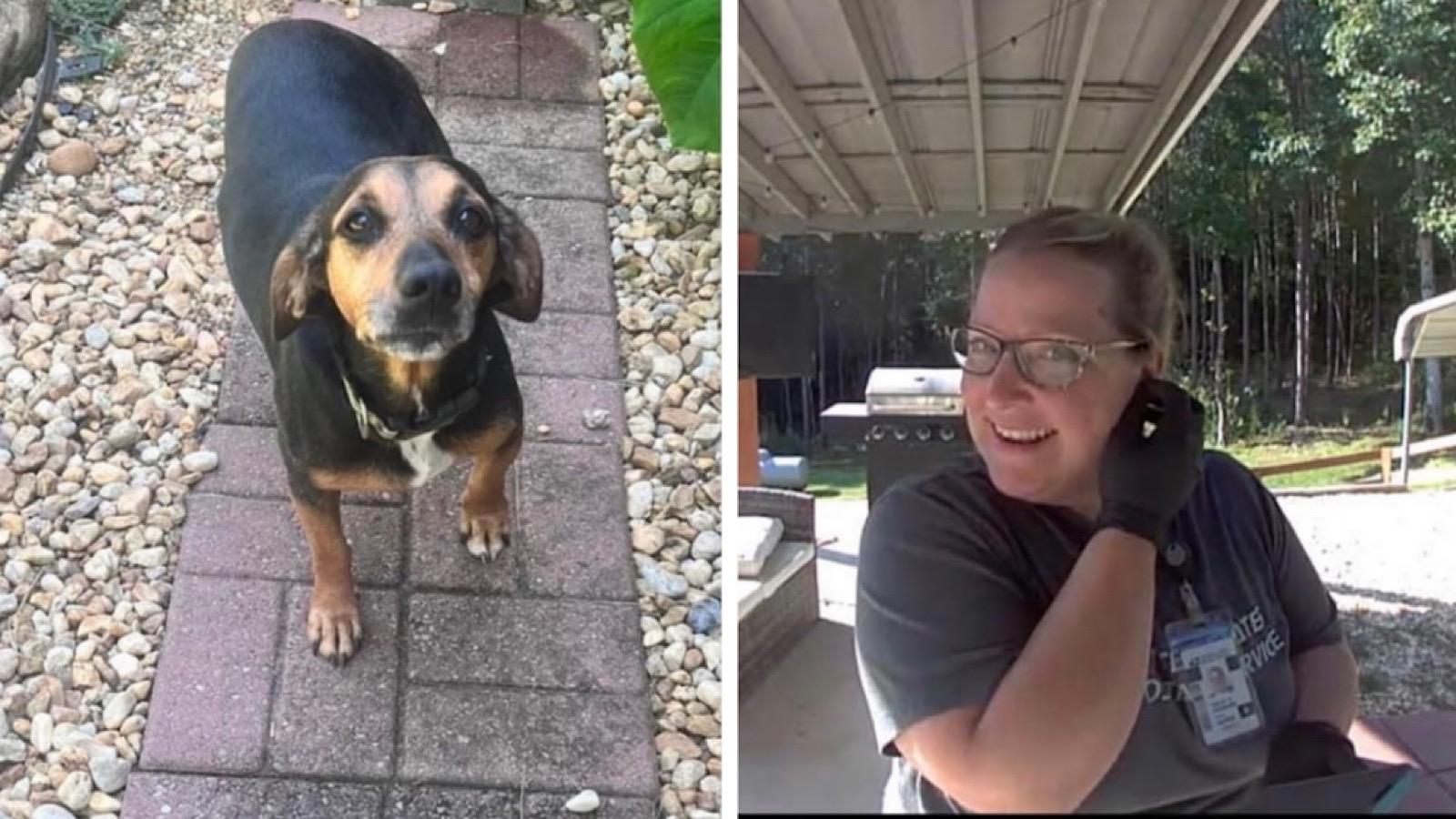 postal worked saved beagle's life when owner's were away
