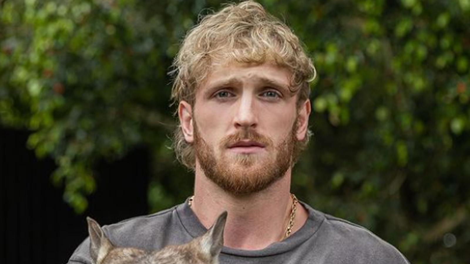 Logan Paul under fire as CryptoZoo victims reportedly offered 10% compensation
